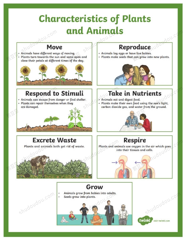 超棒的自然探索资源 Twinkl的自然科普课件+练习手册+实验指导